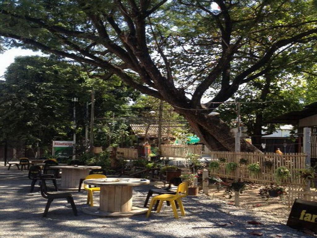 Hostel Viva Shack Čiang Mai Exteriér fotografie